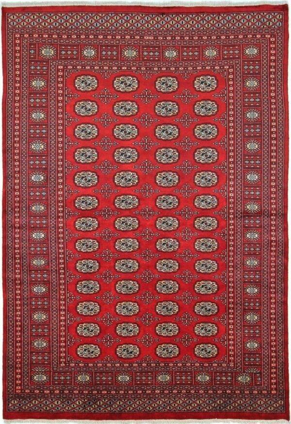 Bukara Extra, Pakistan